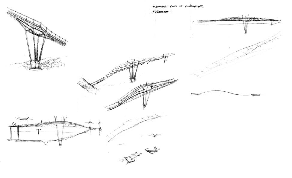 Preliminary design studies of canoe bridge