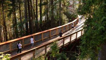 Cypress Trestle Bridge