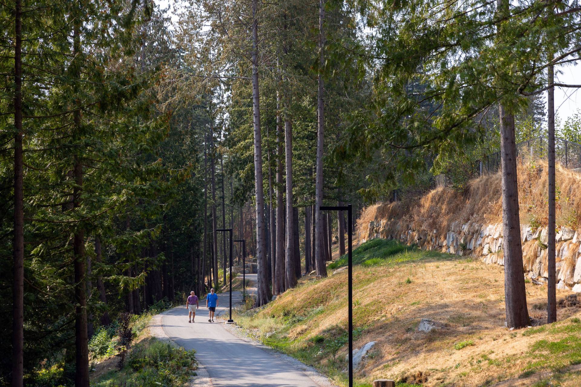 Cypress-Mountain Path